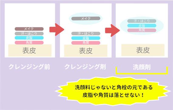 洗顔とクレンジングでとれる汚れの違い