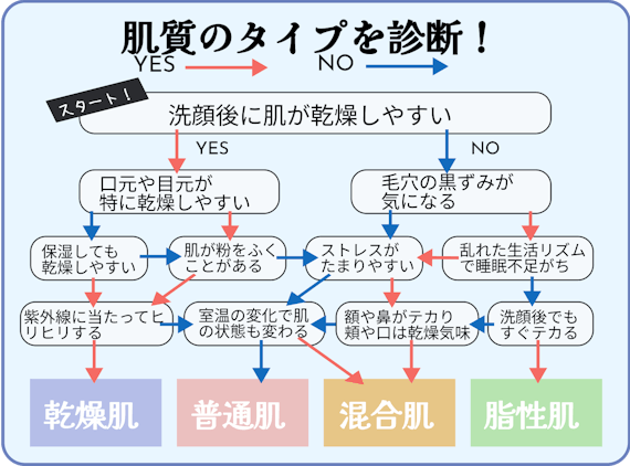 肌質　乾燥肌　脂性肌　普通肌　敏感肌