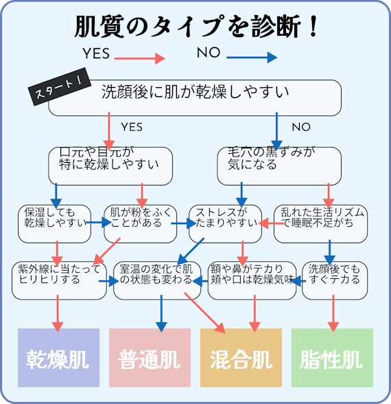 肌質　乾燥肌　脂性肌　普通肌　敏感肌