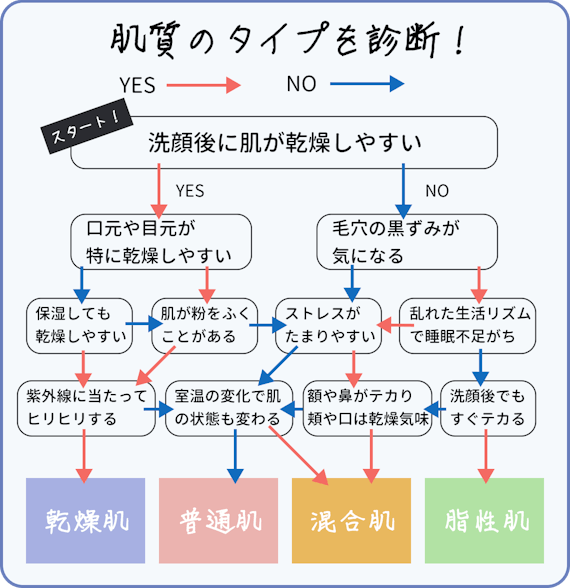 肌質タイプ診断