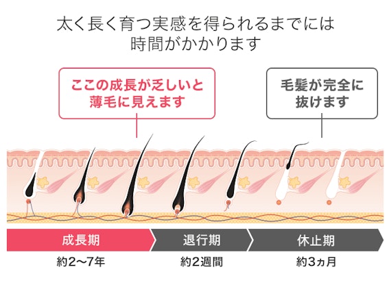 ヘアサイクル